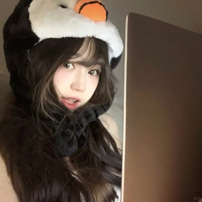 熊出没之雪岭熊风